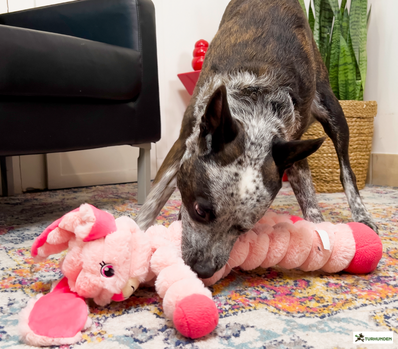 KONG Shakers Crumples Bunny