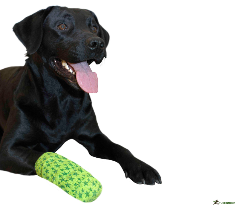 Kruuse Fun-Flex bandage