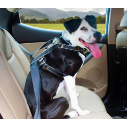 Kurgo Impact Car sikkerhedssele