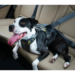 Kurgo Impact Car sikkerhedssele