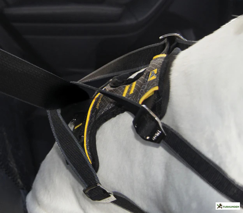 Kurgo Impact Car sikkerhedssele