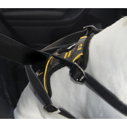 Kurgo Impact Car sikkerhedssele