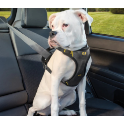 Kurgo Impact Car sikkerhedssele