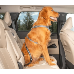 Kurgo Strop til IsoFix 