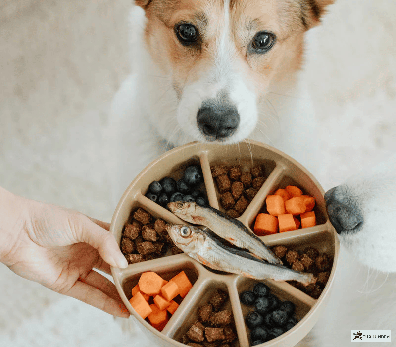 Lambwool Collective - Bento 3-i-1