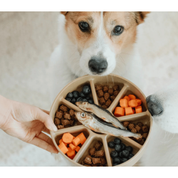 Lambwool Collective - Bento 3-i-1