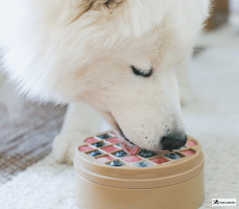 Lambwool Collective - Bento 3-i-1