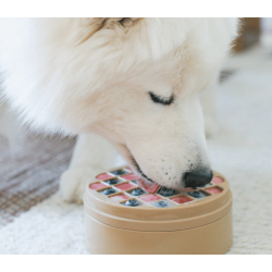 Lambwool Collective - Bento 3-i-1