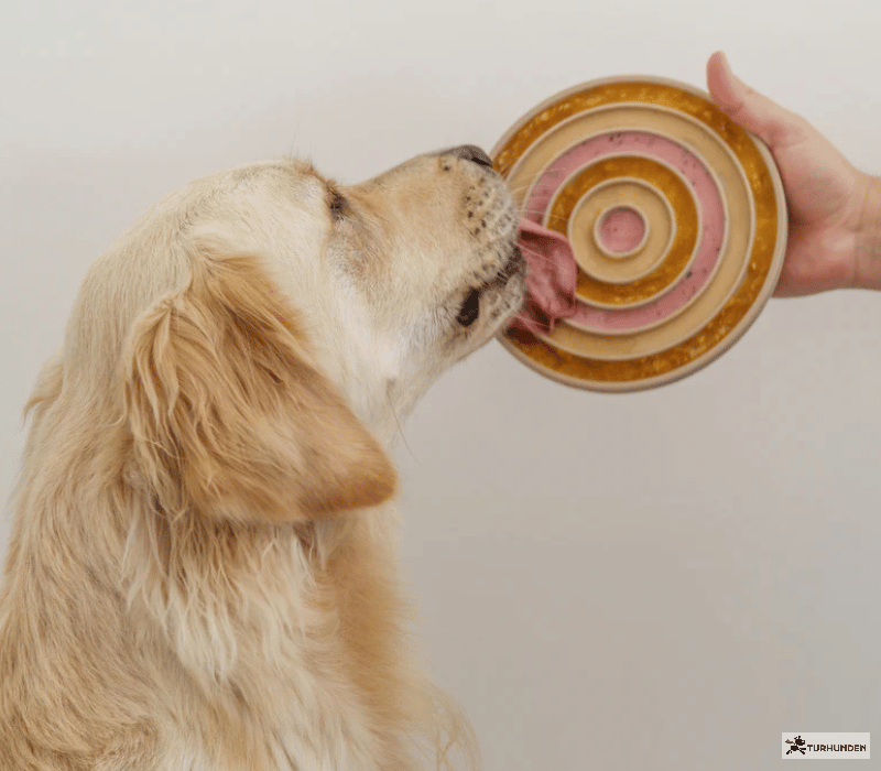 Lambwool Collective - Bento 3-i-1