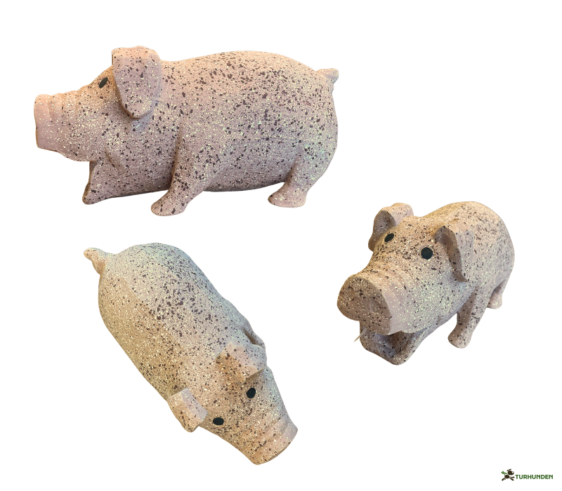 Companion Stor Latex Gris