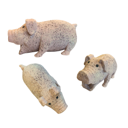 Companion Stor Latex Gris