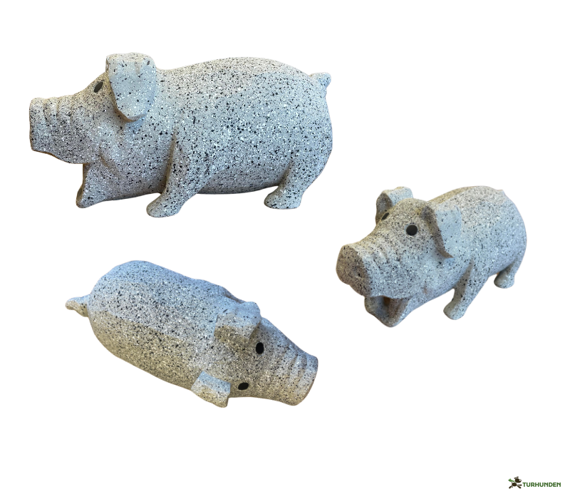 Companion Stor Latex Gris