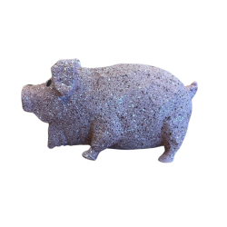 Companion Lille Latex Gris