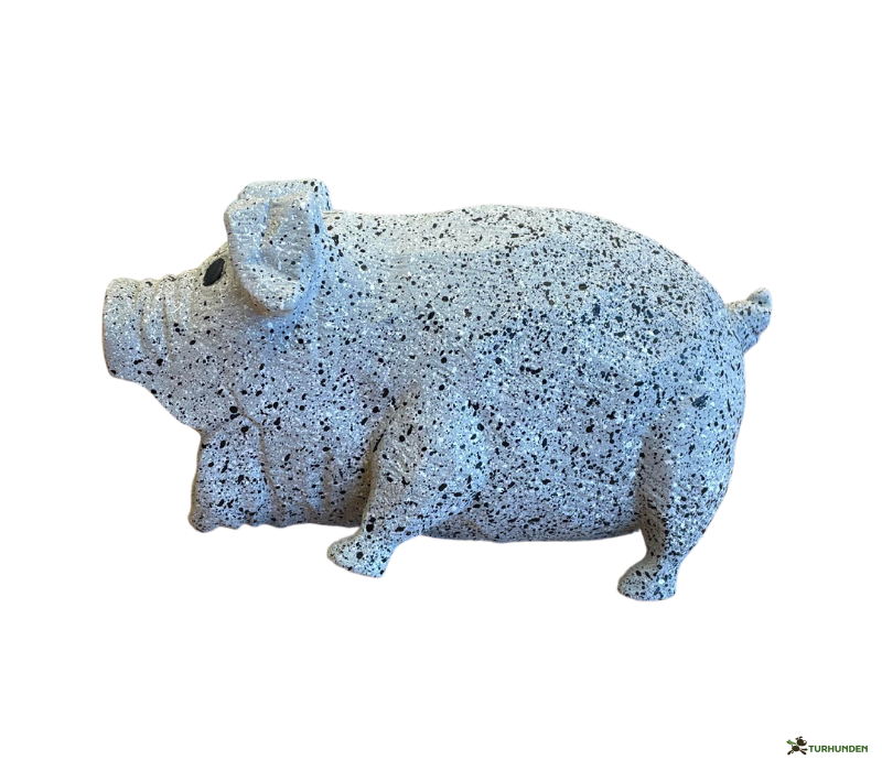 Companion Lille Latex Gris