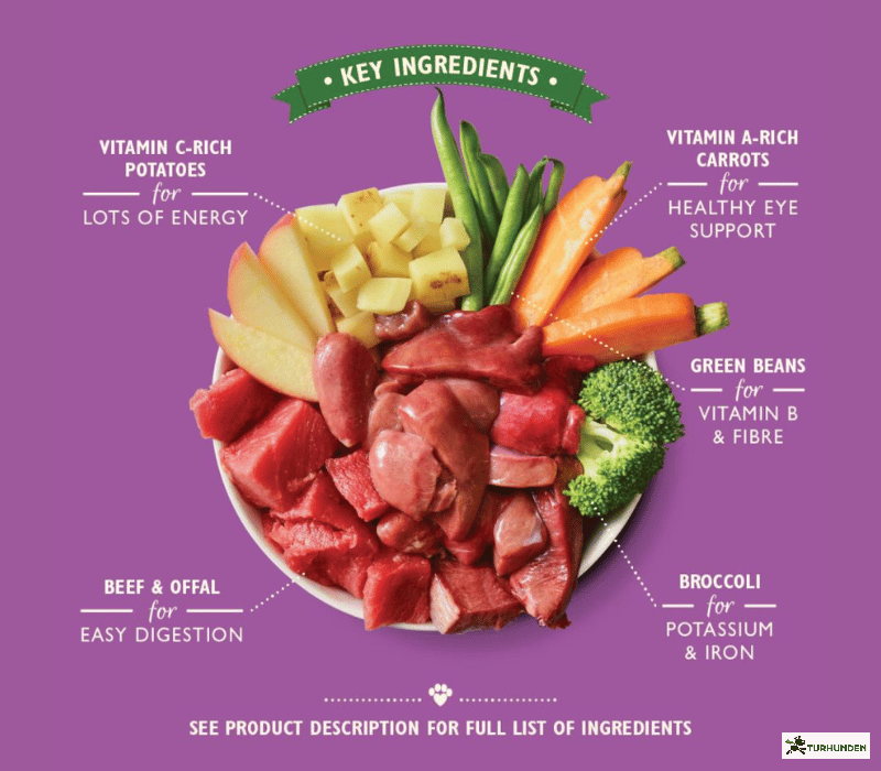 Lily's Love &amp; Pride