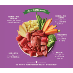 Lily's Love &amp; Pride