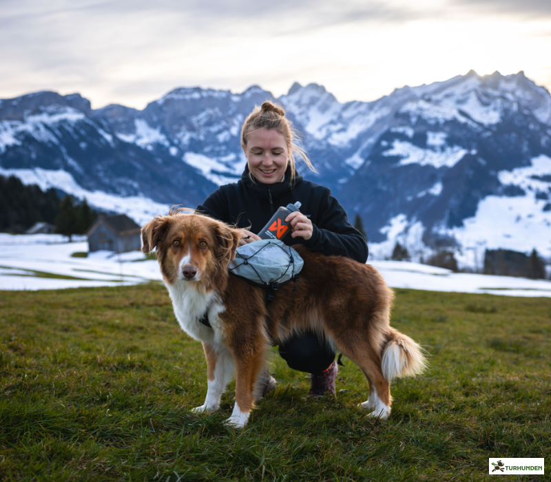Non-stop Dogwear Trail Light