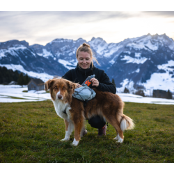 Non-stop Dogwear Trail Light