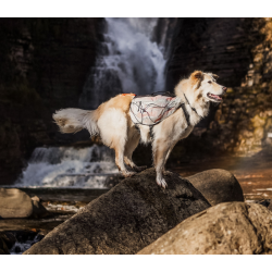 Non-stop Dogwear Trail Light