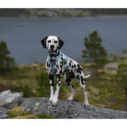 Non-stop Dogwear Trekking line harness CLIP�N