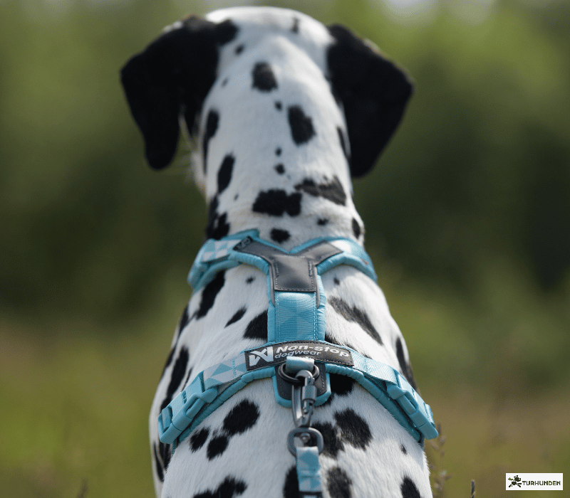 Non-stop Dogwear Trekking line harness CLIP�N