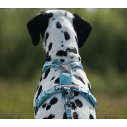 Non-stop Dogwear Trekking line harness CLIP�N