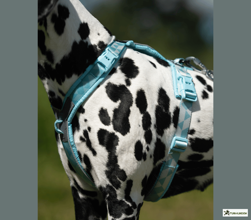 Non-stop Dogwear Trekking line harness CLIP�N