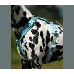 Non-stop Dogwear Trekking line harness CLIP�N