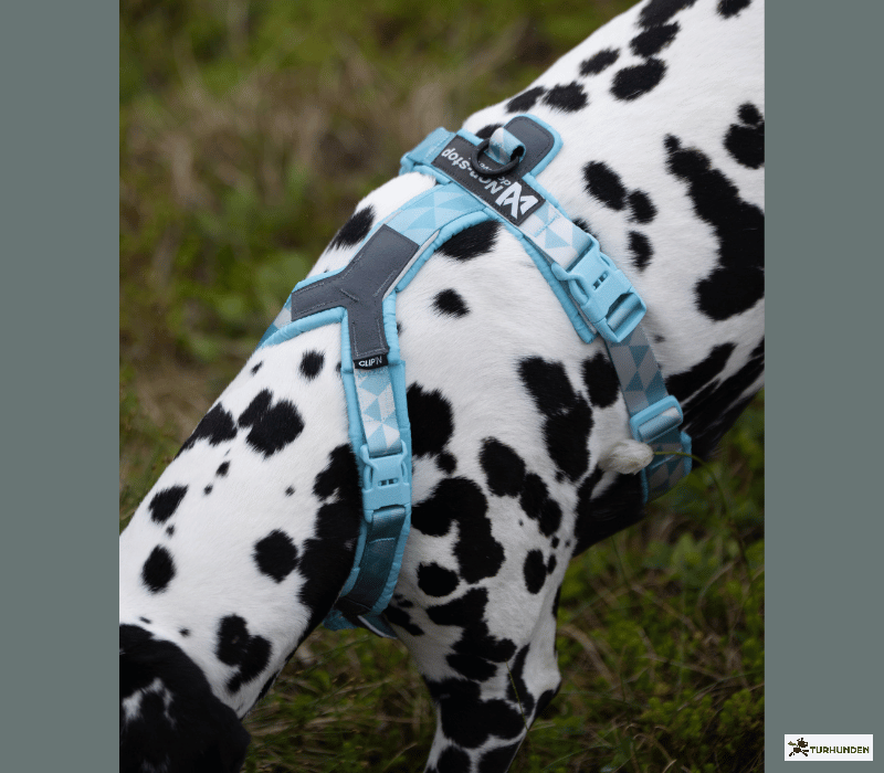 Non-stop Dogwear Trekking line harness CLIP�N