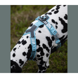 Non-stop Dogwear Trekking line harness CLIP�N