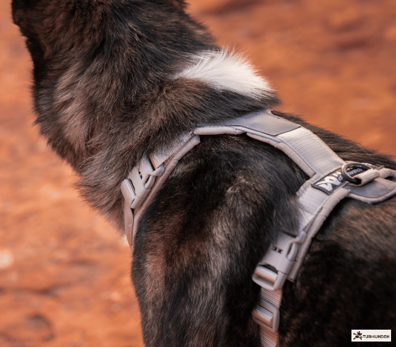 Non-stop Dogwear Trekking line harness CLIP�N
