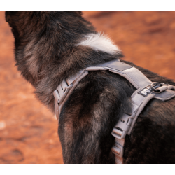 Non-stop Dogwear Trekking line harness CLIP�N