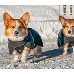 Non-stop dogwear Wool Jacket