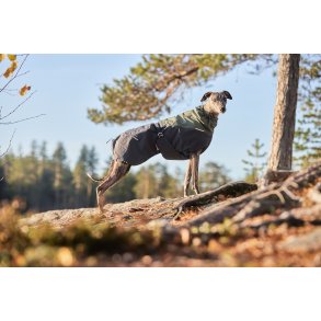 Non-stop dogwear Glacier Wool Dog Jacket 2.0, Grey/Grn