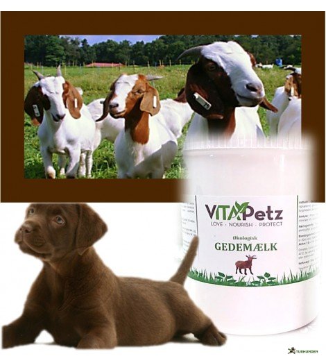 Vitapetz kologisk Gedemlk