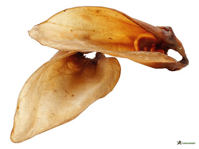 Tikki Oksere m. Muskel