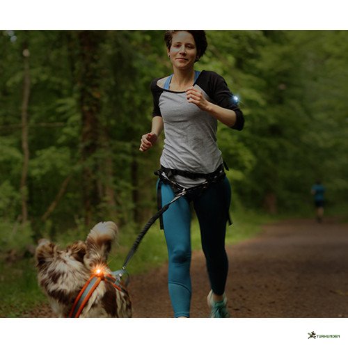 Orbiloc K9 Active Pack