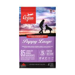 Orijen Puppy Large Breed