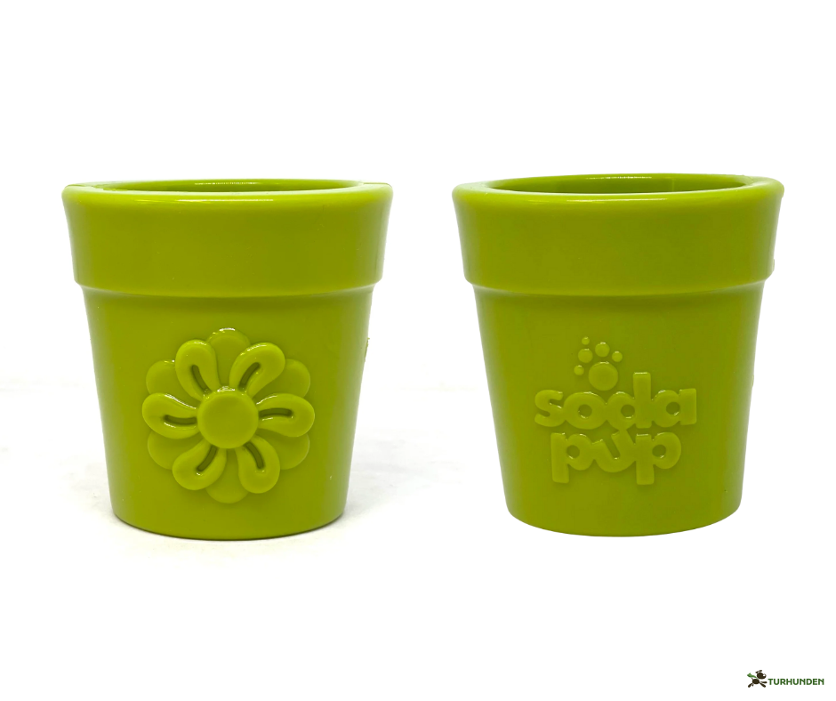 SodaPup Flower Pot