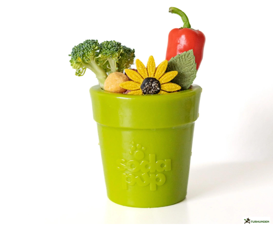 SodaPup Flower Pot