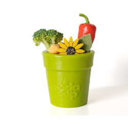 SodaPup Flower Pot