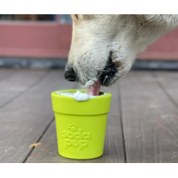 SodaPup Flower Pot