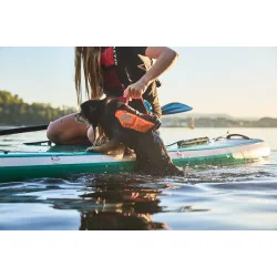 Non-stop dogwear Protector Life Jacket