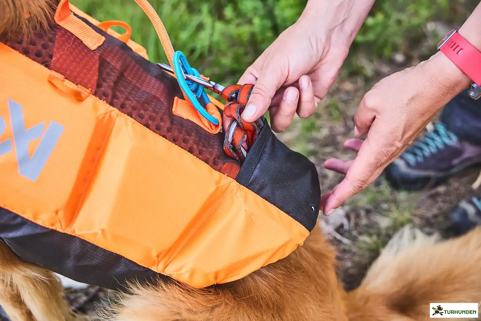 Non-stop dogwear Protector Life Jacket