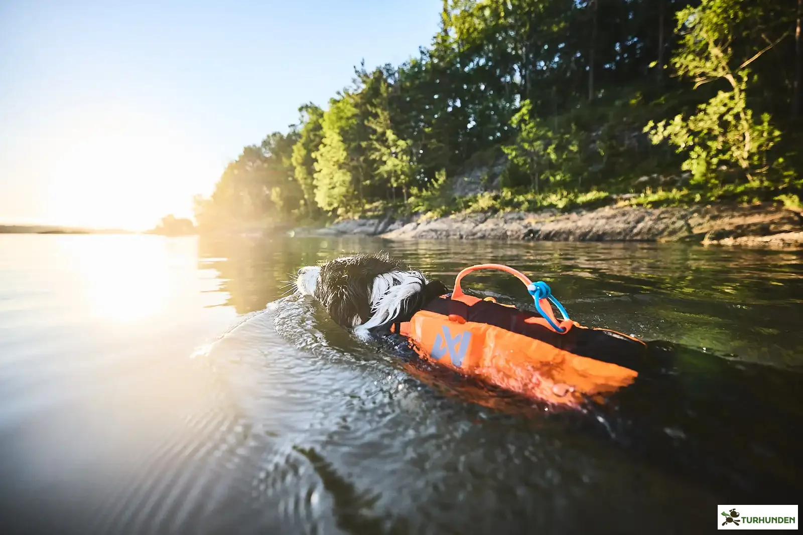 Non-stop dogwear Protector Life Jacket