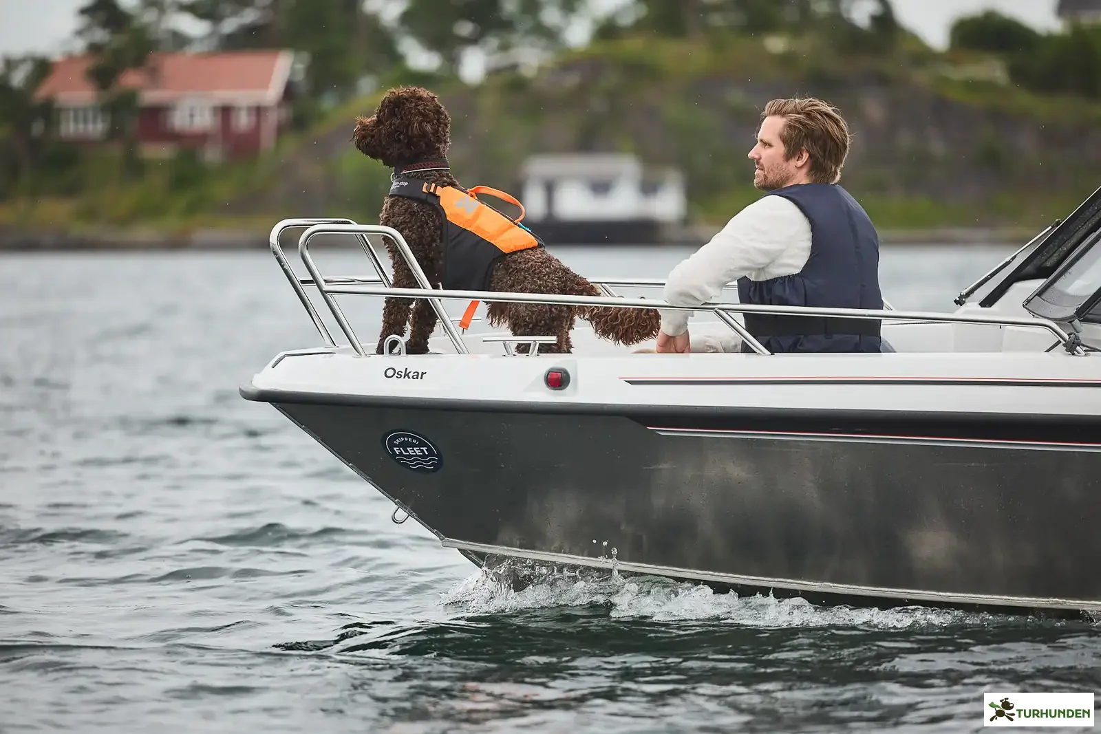 Non-stop dogwear Protector Life Jacket