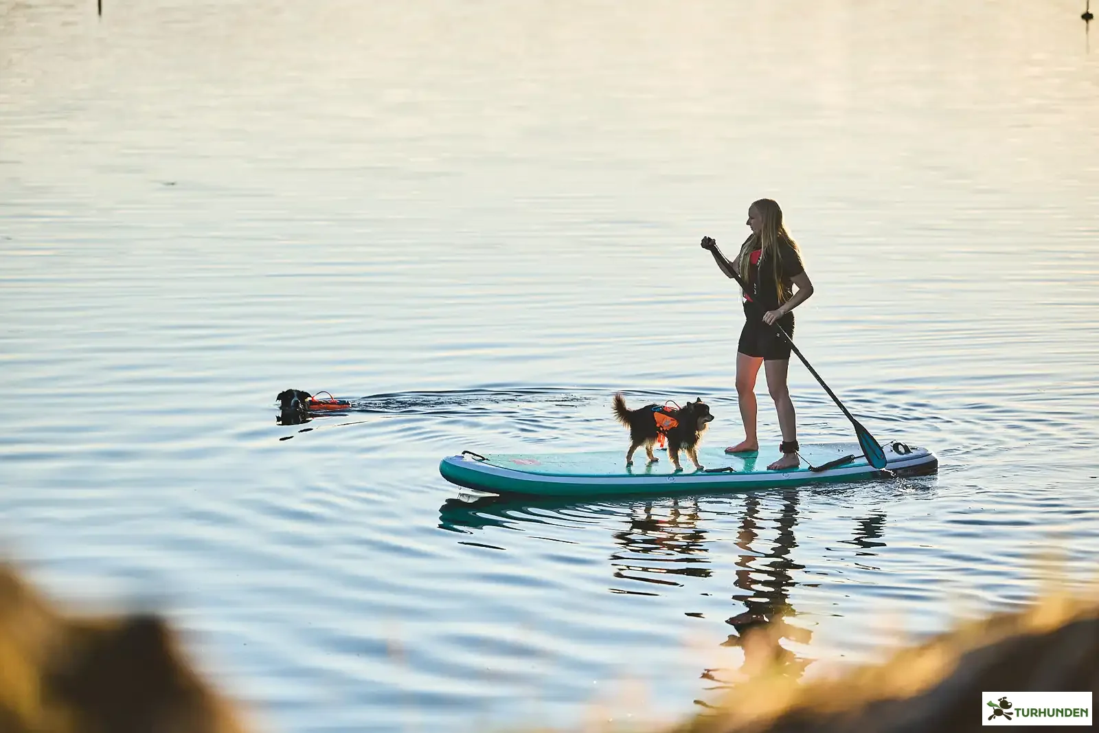 Non-stop dogwear Protector Life Jacket