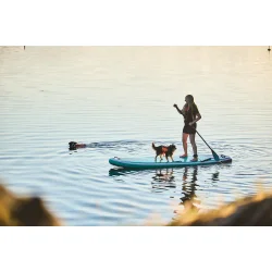 Non-stop dogwear Protector Life Jacket