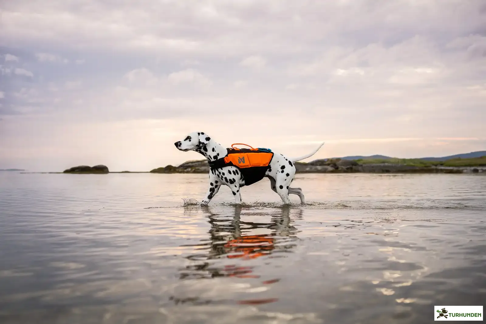 Non-stop dogwear Protector Life Jacket