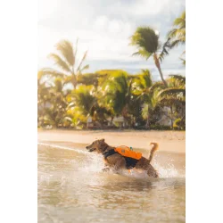 Non-stop dogwear Protector Life Jacket